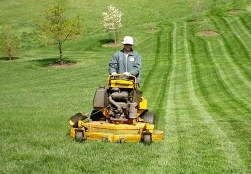 Lawn Mowing