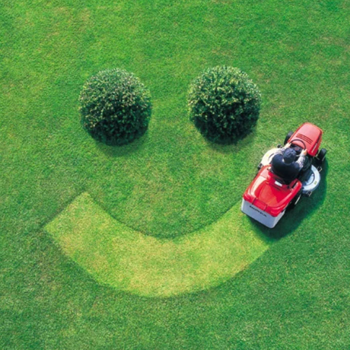 Blue Collar Lawn LLC about